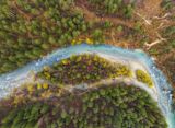Aerial view of a winding river through a forest.