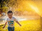everyone-wants-win-win-solutions-these-questions-will-help-you-find-them_asset_mi-pham-223464-unsplash-1