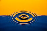 Drop in a pond