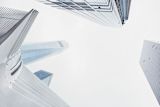 cellular-cities-how-climate-change-is-shaping-the-future_asset_city