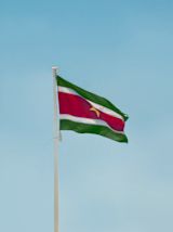 Decorative image of Suriname flag on flagpole for article