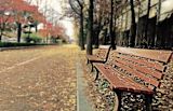green-spaces-help-combat-loneliness_asset_pexels-photo-54539-1