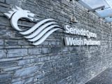 Welsh Senedd — Jonny Gios