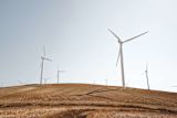 procurement-can-save-our-planet-if-we-harness-its-power_asset_luca-bravo-132630-unsplash-1