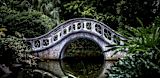 Decorative image of bridge surrounded by trees for article