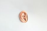 Ear