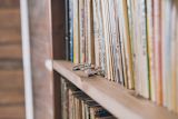Decorative image of a bookshelf for an article