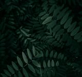 prithiviraj-a-kwTg7dVS3K0-unsplash