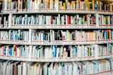 people-learn-in-different-ways-the-way-we-teach-should-reflect-that_asset_rsz_chuttersnap-984e1fk4e04-unsplash