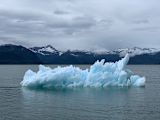 how-to-mainstream-climate-action-in-government_asset_photo-1562089727-90aa996a6f18
