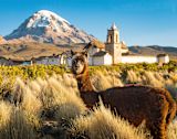 Rural Bolivia