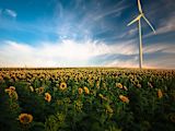 this-small-german-town-took-back-the-power_asset_agriculture-1853323_1920