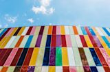 weekly-briefing-behavioural-insights-for-policymakers_asset_scott-webb-yzyysevqgmm-unsplash-1