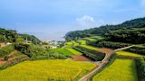 japan-has-built-the-worlds-largest-national-economic-data-viz-tool_asset_www.maxpixel.net-japan-terraced-fields-tanaka-the-countryside-1778513