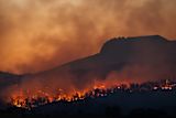 Fire — Matt Palmer