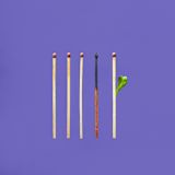 Decorative image of matches for article