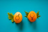 gender-mainstreaming-sdgs-and-the-coronavirus-pandemic_asset_rsz_dainis-graveris-lpyhstho7lm-unsplash