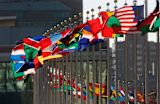 world-changing-heres-governments-must-adapt-survive_asset_3311542781_6175233576_o
