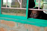 refugee-school-boosts-attendance-teaching-kids-garden_asset_3822621689_3e4049ab71_b
