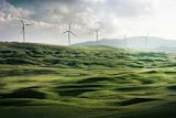 World Environment Day: The Public Service’s Role in Renewable Transition