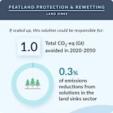 28. Peatland Protection Rewetting