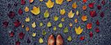 fallon-michael-63RUBV0-zp0-unsplash.jpg