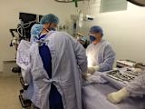 queensland-hospitals-save-millions-forecasting-patient-admissions_asset_australia-patient-prediction