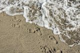 Decorative image of footprints in sand for article