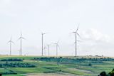 career-story-how-to-excel-in-environmental-policy_asset_environmental-policy