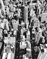 black and white city