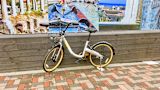 singapores-abandoned-bikes-show-how-not-to-regulate-the-sharing-economy_asset_40580925064_2f3b95cf05_k-1