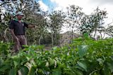 brazil-secures-livelihoods-beats-poverty-buying-food-family-farmers_asset_10529835806_34198ceb09_o