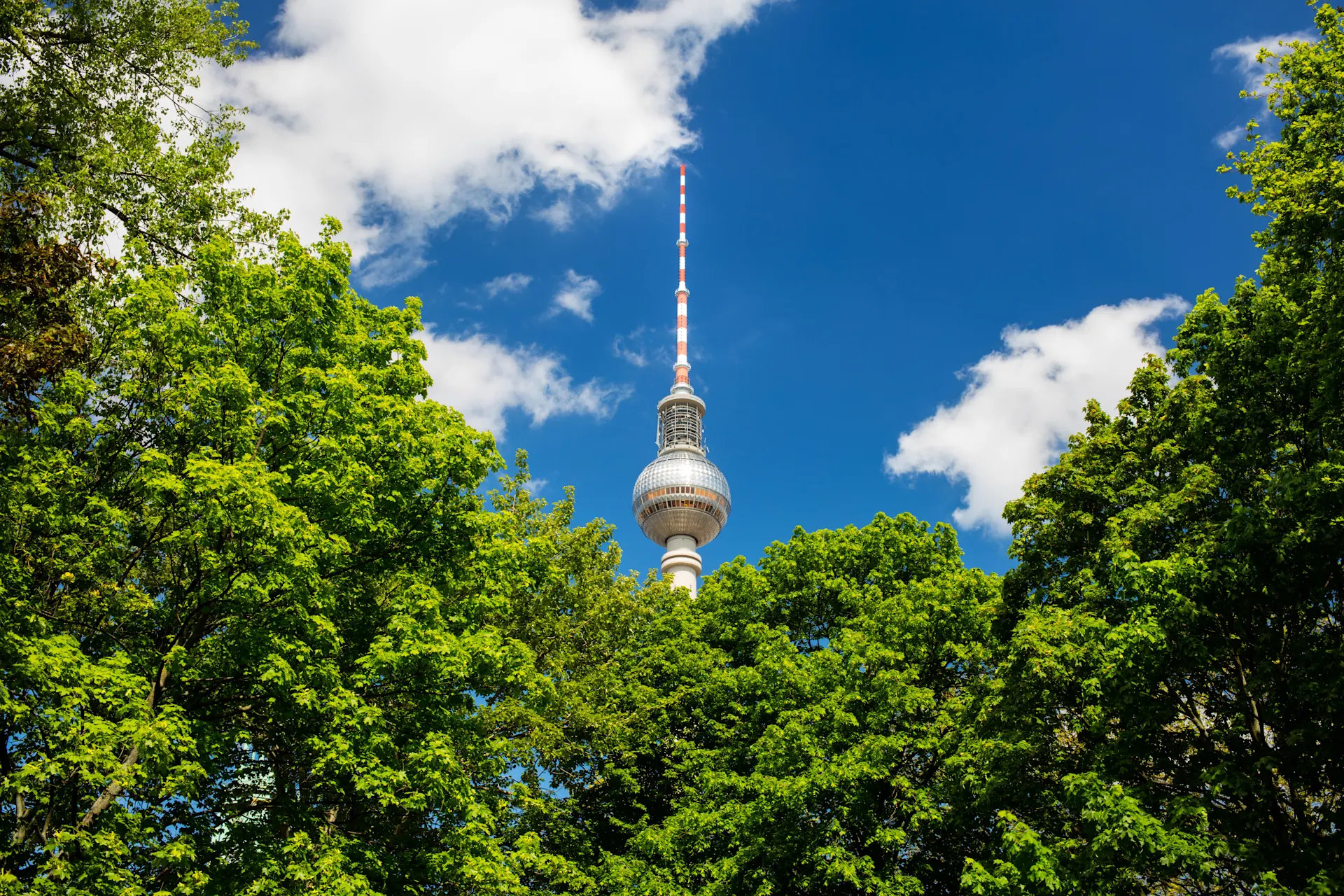 Blick aus dem Grünen auf den Fernsehturm Blick aus einer Grünanlage auf den Berliner Fehrsehturm.