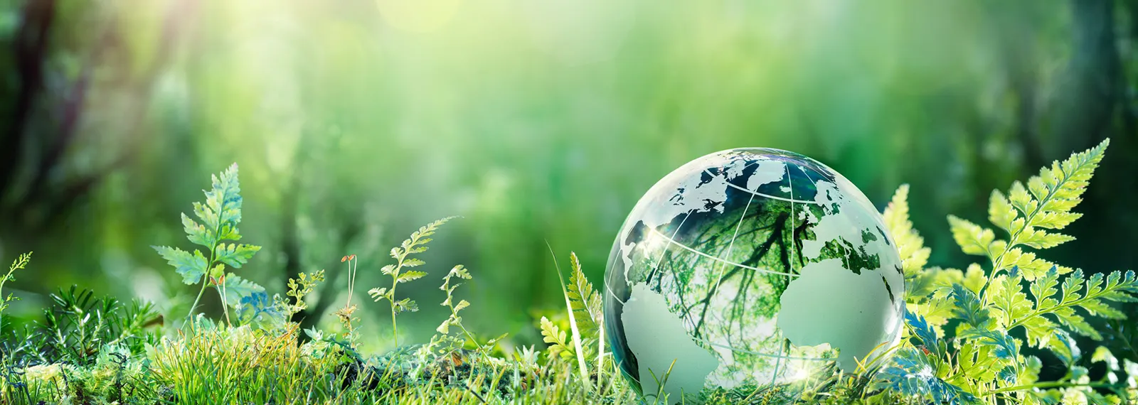 Umweltschutz Eine Weltkugel liegt im Gras. Es symbolisiert den Umweltschutz durch die NEW Energie.