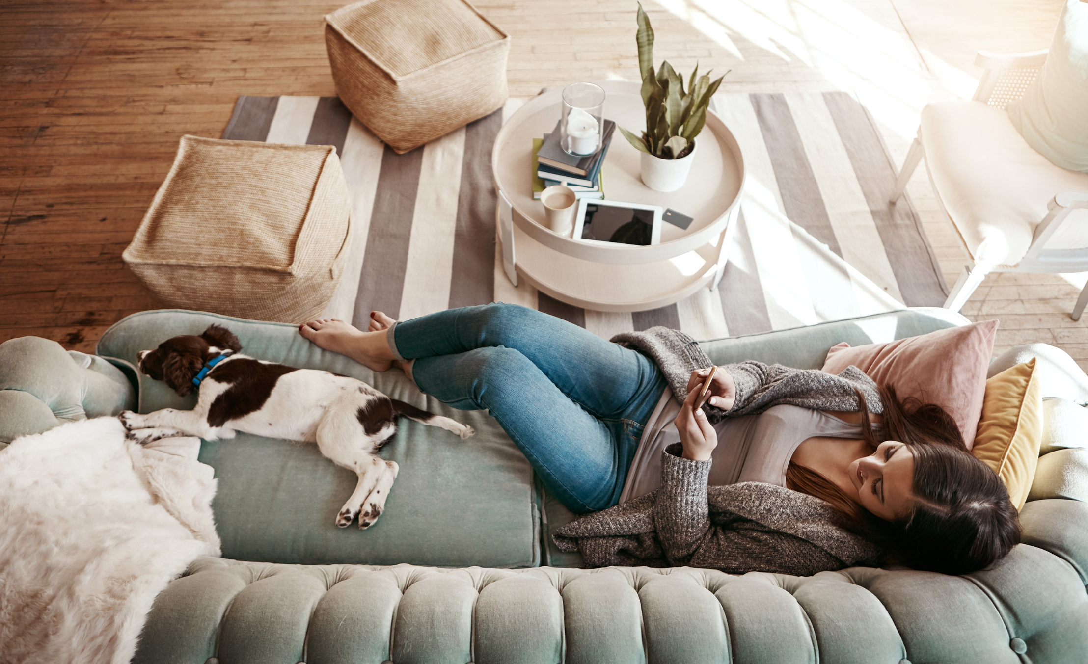 Eine Frau liegt mit ihrem Hund im Wohnzimmer auf dem Sofa und schaut nach Stromtarifen der NEW Energie.