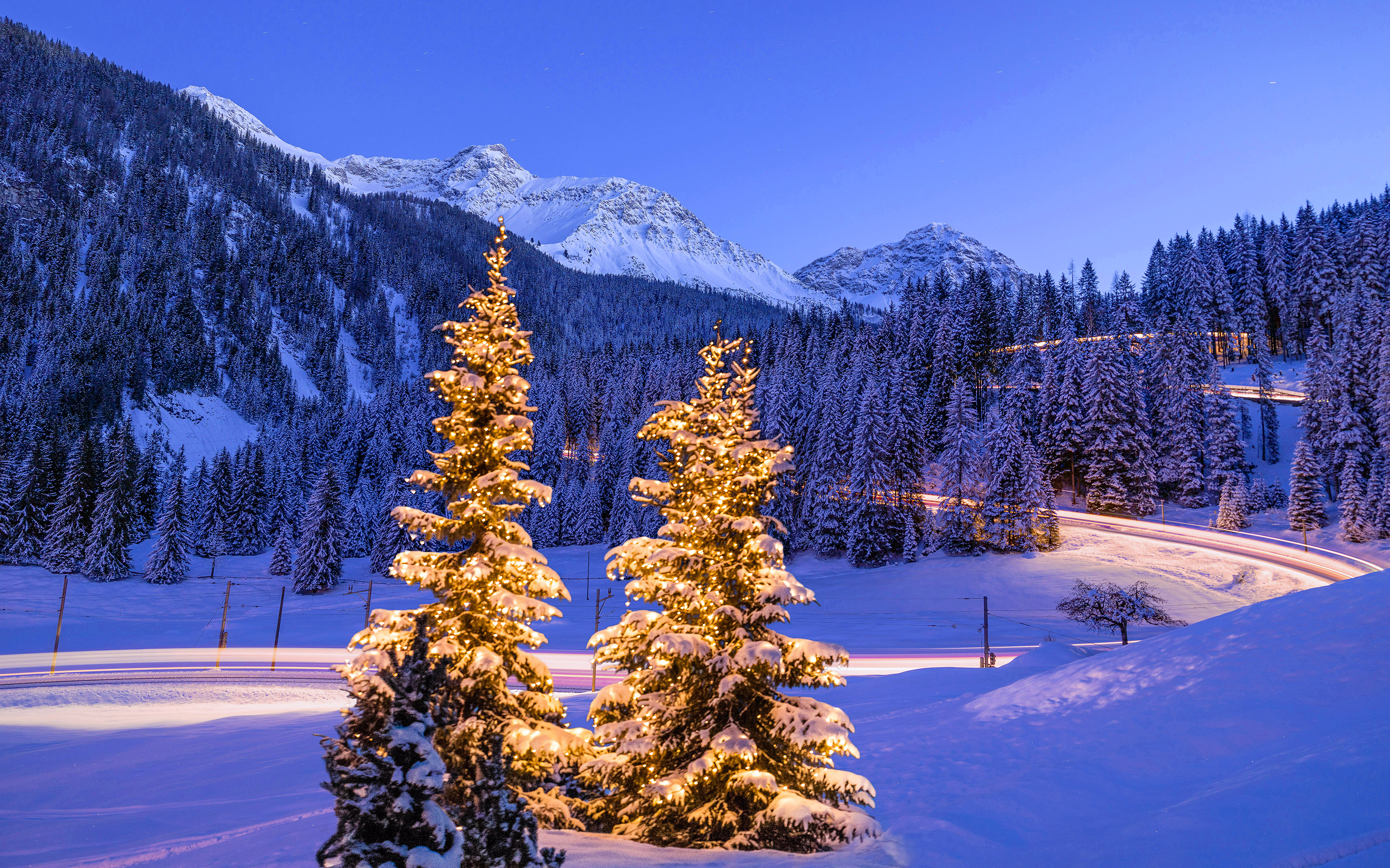 Verschneite, mit Lichterketten geschmückte Weihnachtsbäume im Vordergrund, im Hintergrund ein lang belichteter Zug.