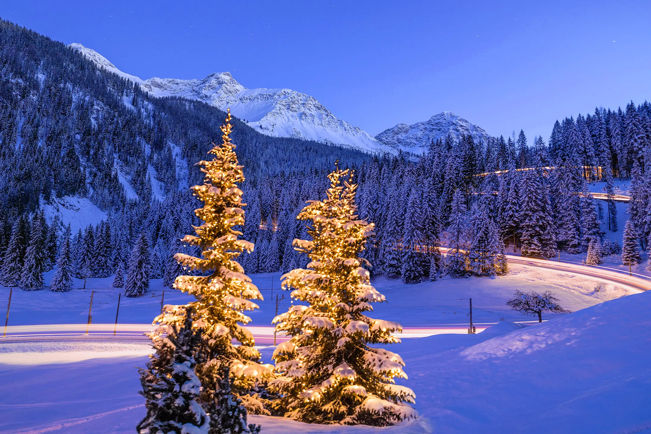 Verschneite, mit Lichterketten geschmückte Weihnachtsbäume im Vordergrund, im Hintergrund ein lang belichteter Zug.
