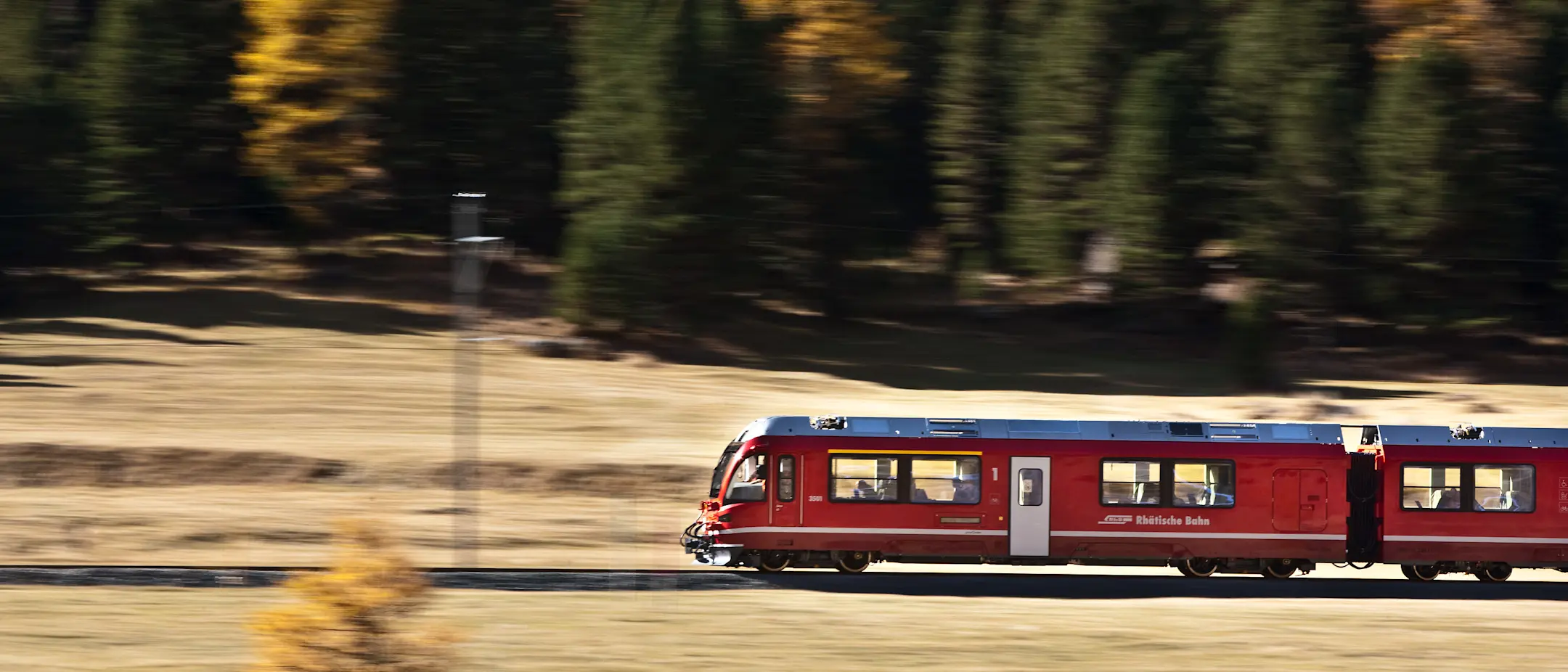 Allegra-Triebzug bei Pontresina vor herbstlich gefärbten Nadelbäumen.