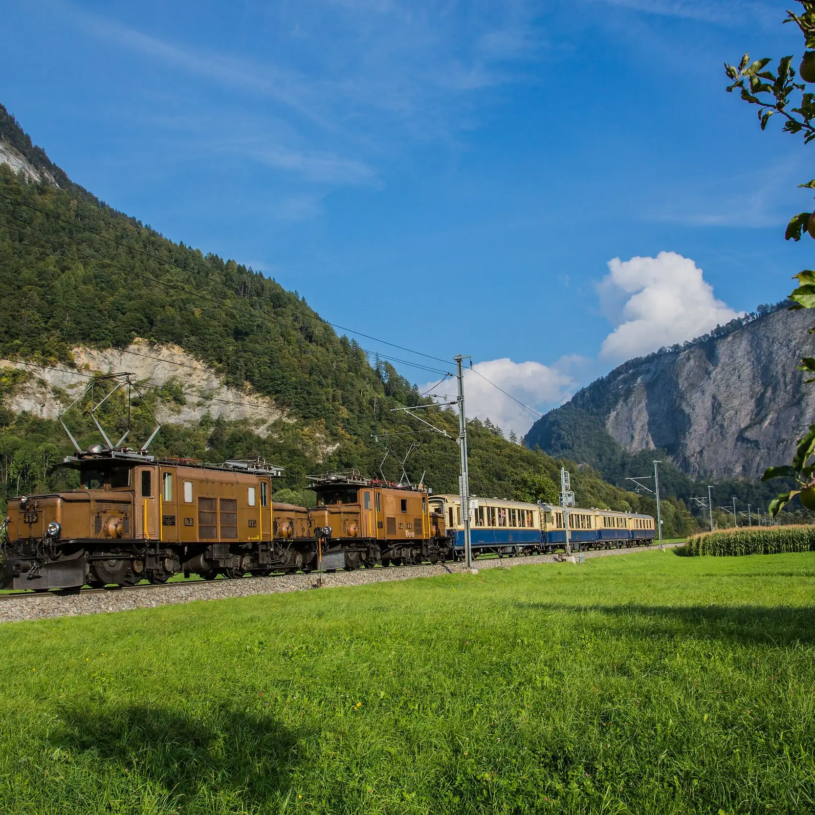 Die Krokodillokomotive fährt bei Malans durch die Sommerlandschaft.