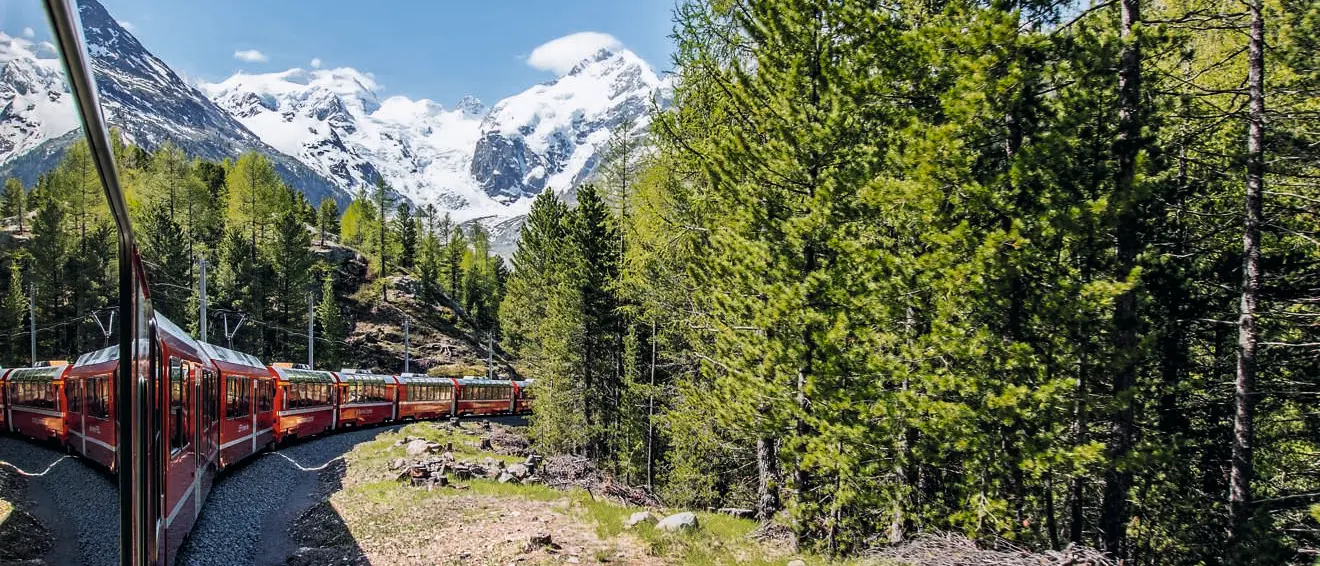 Bernina Express schlängelt sich durch eine Kurve nahe Morteratsch, umgeben von Wädern, mit Blick auf Gipfel.