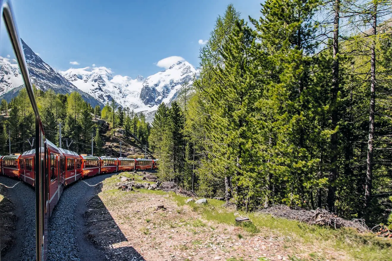 Bernina Express schlängelt sich durch eine Kurve nahe Morteratsch, umgeben von Wädern, mit Blick auf Gipfel.