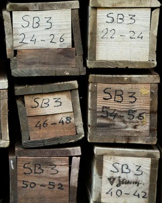Bohrkernproben mit Gesteinsschichten beim Neubau des Albulatunnels