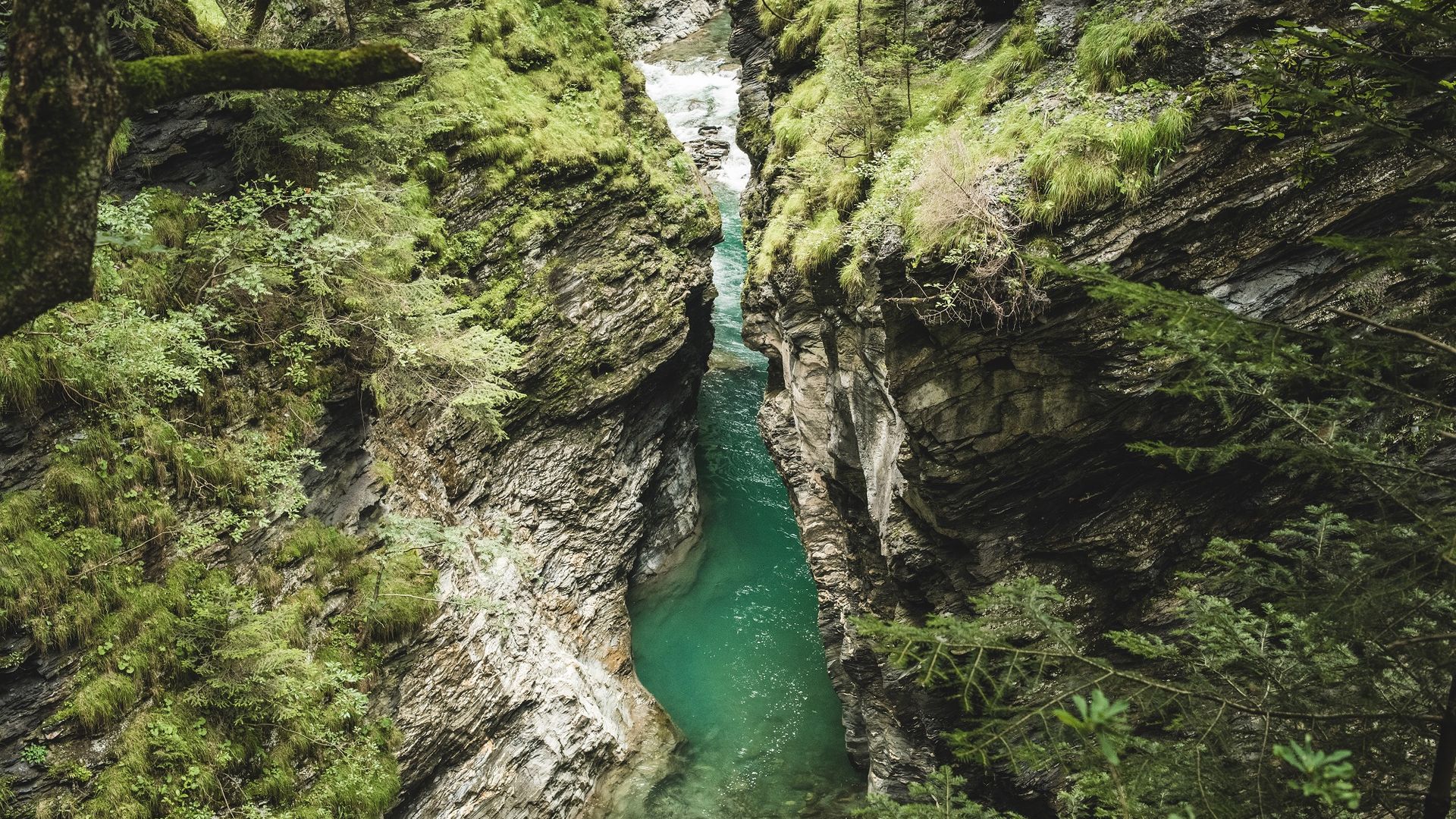 Una stretta e ripida gola rocciosa con acque turchesi, circondata da rocce ricoperte di muschio e vegetazione rigogliosa.