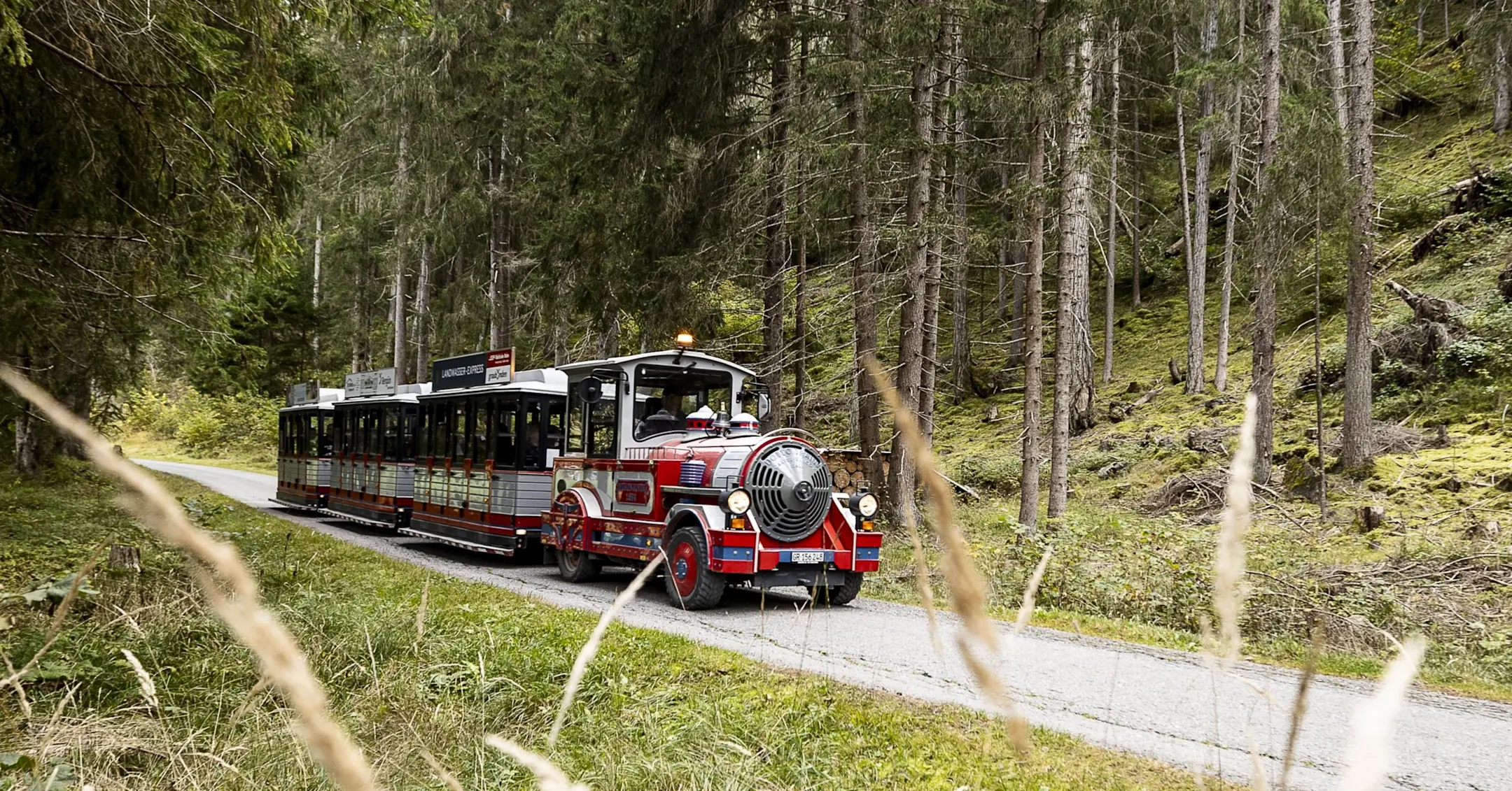 Ein bunter, offener Touristen-Zug fährt auf einem schmalen Weg durch einen dichten, grünen Nadelwald in der Schweiz.