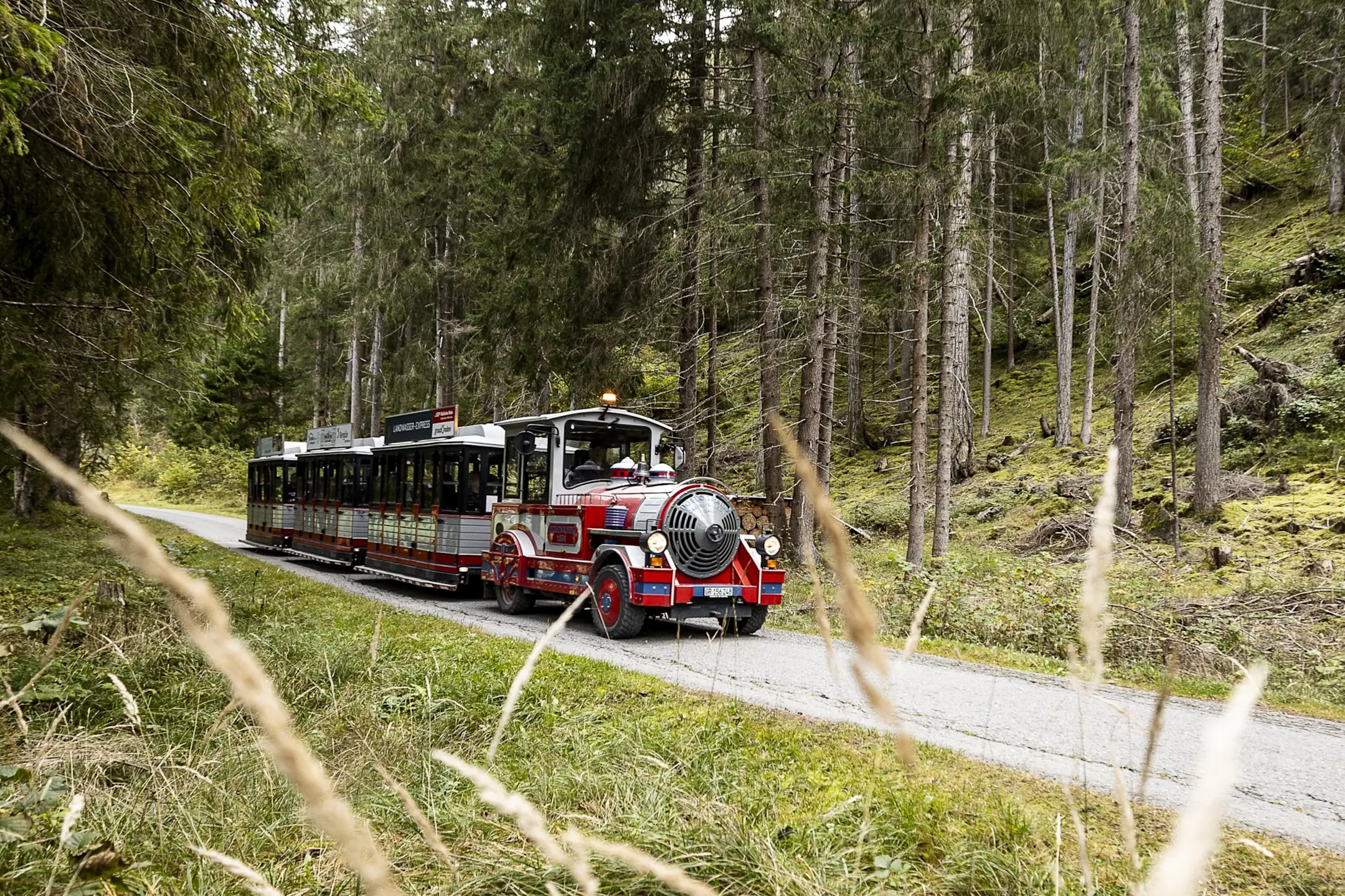 Ein bunter, offener Touristen-Zug fährt auf einem schmalen Weg durch einen dichten, grünen Nadelwald in der Schweiz.