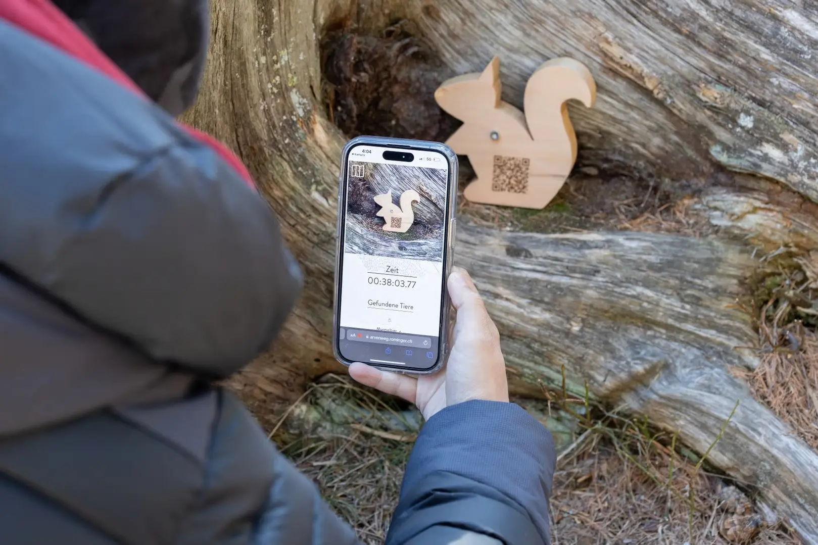 Person scannt mit dem Smartphone ein Holzschild in Eichhörnchenform mit QR-Code im Wald entlang des Arvenwegs.