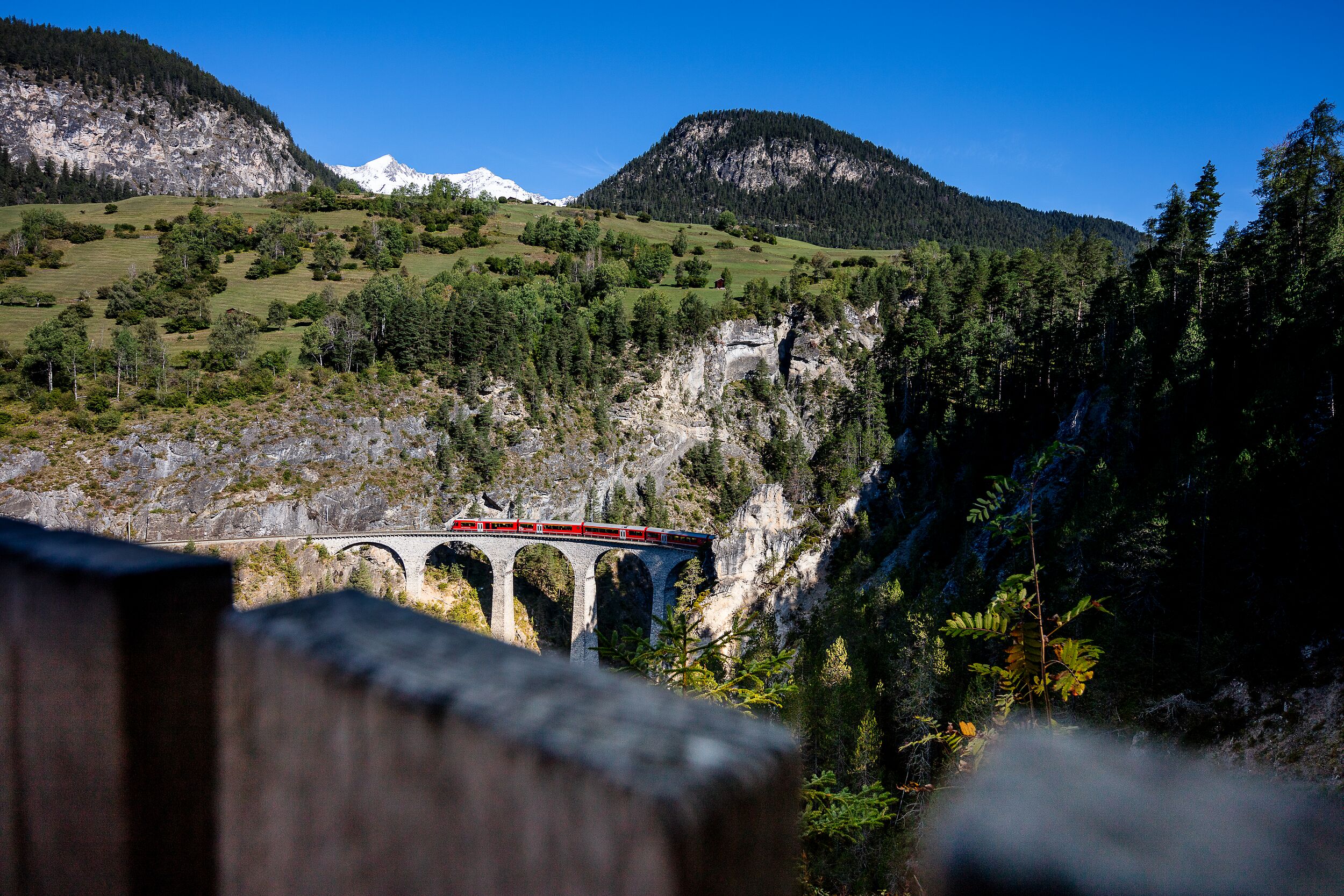 Die Aussicht von der Plattform Acatos mit Blick auf den Landwasserviadukt im Sommer.