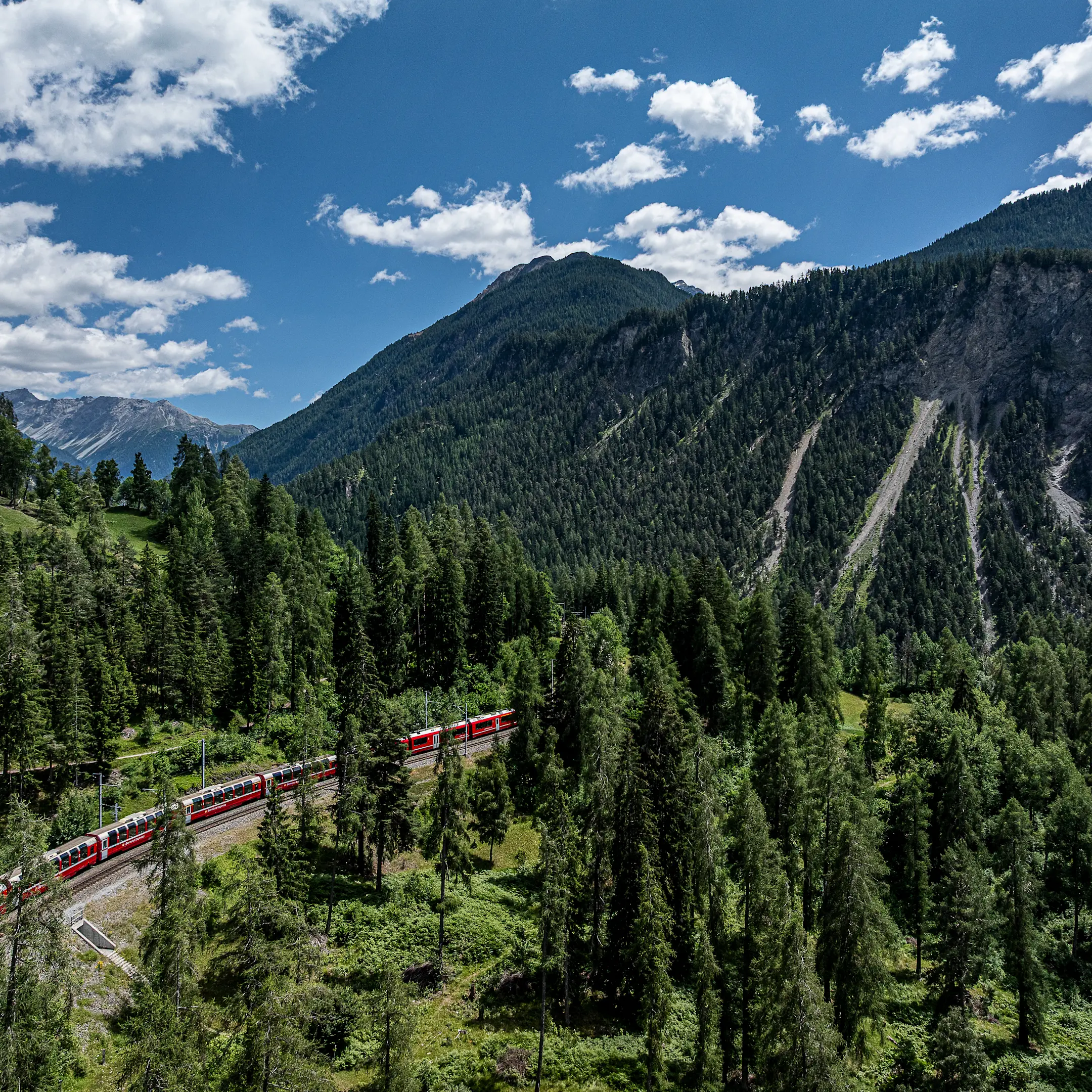 Der Bernina Express der Rhätischen Bahn fährt im Sommer bei Filisur