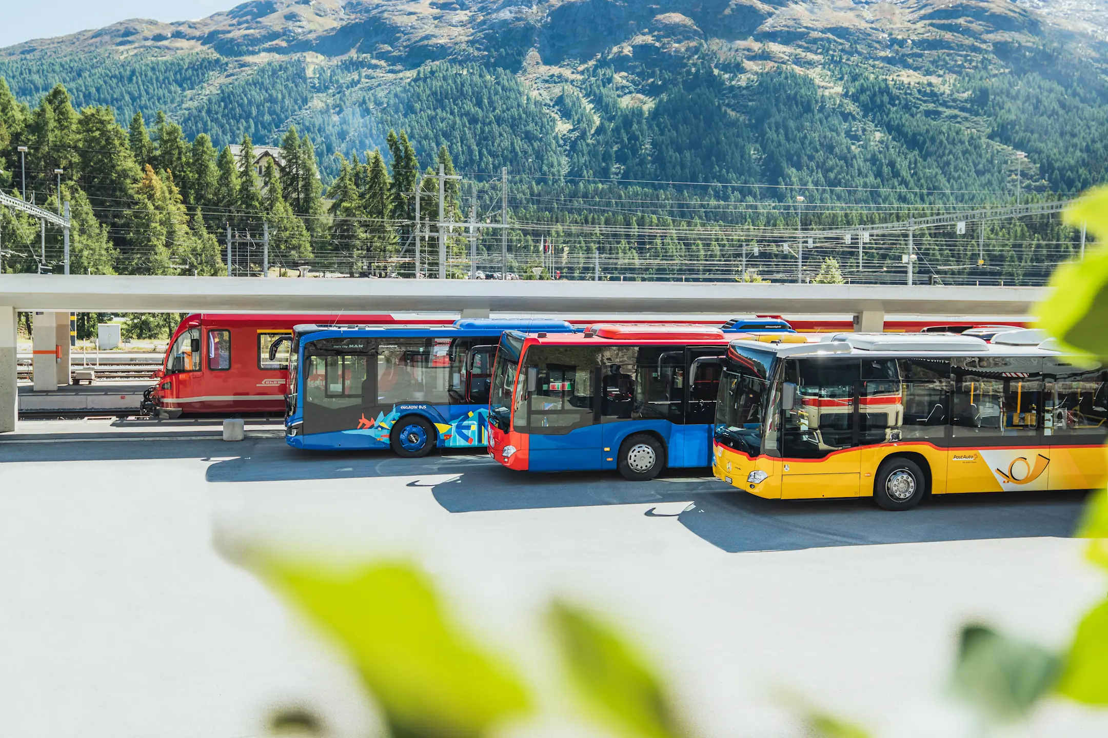 Ein RhB-Zug, zwei Busse von Engadin Bus und ein Postauto am Bahnhof Pontresina.