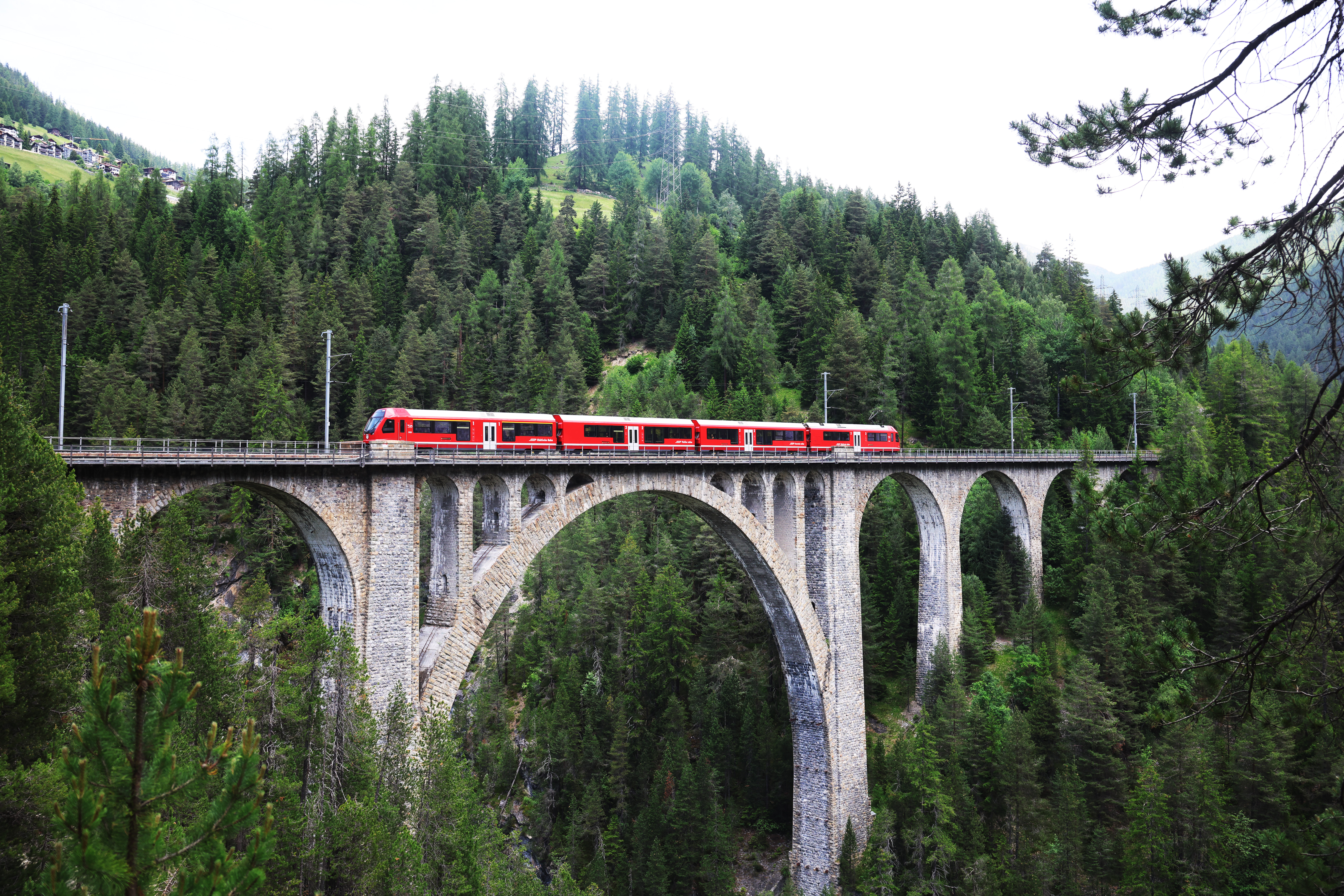 Ein Capricorn Triebzug der Rhätischen Bahn auf einer Brücke im Wald